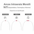 50.82.014 Arco Intraoral Superelástico Pequeno Niti Retangular 0,48x0,63mm (.019"X.025") - Morelli