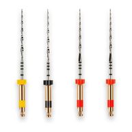 Lima Vdw Reciproc File Sort 25mm com 4 - Dentsply Sirona