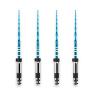 Vdw Reciproc Blue 31mm com 4 - Dentsply Sirona