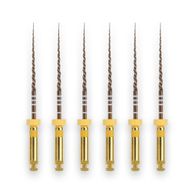Protaper Gold F1 25mm - Dentsply Sirona