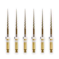 Protaper Gold S2 21mm - Dentsply Sirona