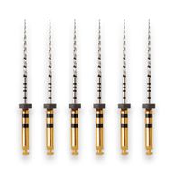 Lima Rotatória Protaper Universal 25mm com 6 Maillefer - Dentsply Sirona