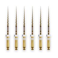Protaper Gold S2 25mm - Dentsply Sirona