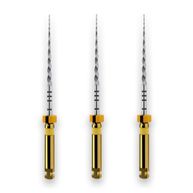 Protaper Next X1 21mm com 3 - Dentsply Sirona