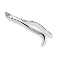 Forceps Odontológico Adulto - Golgran