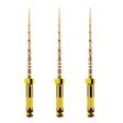 Lima Waveone Gold Small 31mm com 3 - Dentsply Sirona