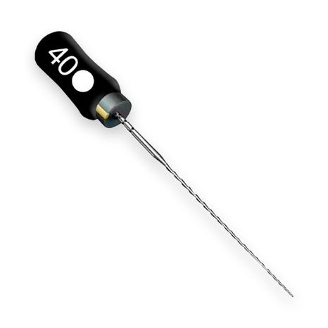 Lima Hedstroem File n°40 de 21mm - Dentsply Sirona