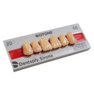Dente Biotone Anterior Superior - Dentsply Sirona