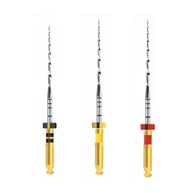 Lima Reciprocante Pro-R 25mm - MK Life