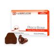 Placa Base Fina Marrom com 100 - Lysanda