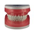 Refil Top Dentística AC103 - Pronew