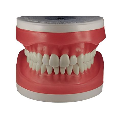 Refil Top Dentística AC103 - Pronew